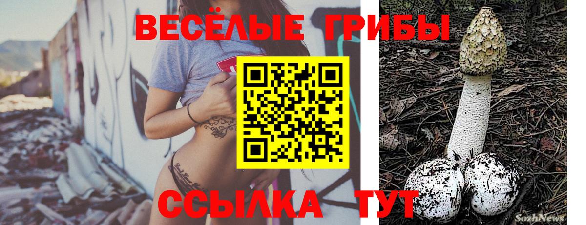Псилоцибиновые грибы GOLDEN TEACHER Псков